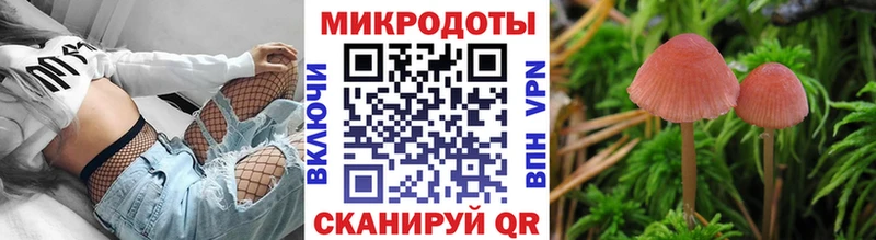 Псилоцибиновые грибы Psilocybine cubensis  Сысерть 