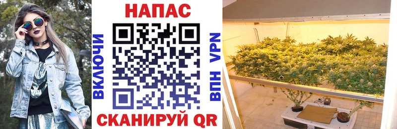 Каннабис конопля  купить наркотики сайты  Сысерть 